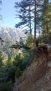 По Ликийской тропе через горы к морю (классический пеший поход)