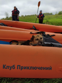 Живописная Протва и город на холмах Боровск (сплав на байдарках)