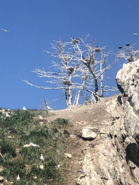 По Байкалу на байдарках: Святой Нос