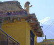 Мульти-тур по Непалу. Трекинг к Анапурне, парк Читван и древние города