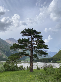 Горный лагерь в Чегемском ущелье (Кабардино-Балкария)