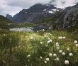 Тур по Лофотенским островам и Норвежскому морю на морских каяках + треккинг в горы