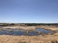 Сплав по реке Киржач на байдарках с баней на берегу