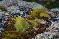Кемские шхеры и загадочные Кузова. По белому морю на морских каяках (с лодкой)