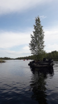 Сплав по реке Воньга и Белое Море на байдарках