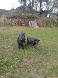 Северный Вьетнам: Тысячи островов и одна вершина