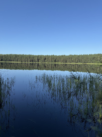 Пеший поход к Московскому морю