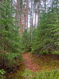 Рысья гора (ночёвка в доме с баней)