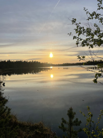 Аметистовый берег Белого моря