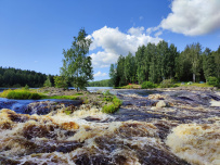 Сплав по реке Шуя