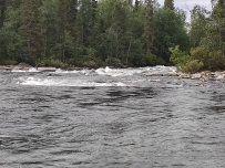 Сплав по реке Умба