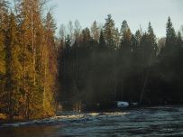 Сплав по реке Шуя на майские