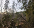 Сплав по реке Китенйоки 