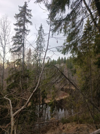 Сплав по реке Китенйоки