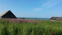 Соловецкие Острова в Белом Море (экскурсии + поход)