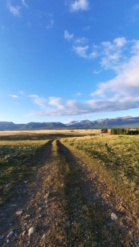 Горный лагерь в Актру (проживание в домиках)