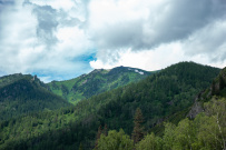 Сплав по реке Чарыш на байдарках