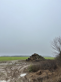 Калужская Ниагара (пеший) 