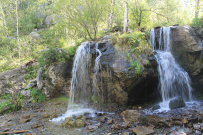 Всё и сразу на Алтае