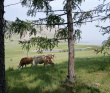 Дети на Байкале