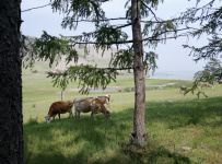 Дети на Байкале