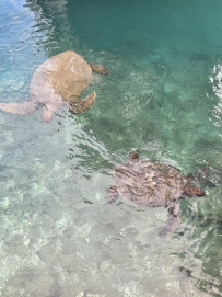 В Сердце Ликийской тропы (Поход вдоль моря, без рюкзаков)