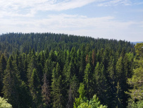 Ландшафтные театры Карелии