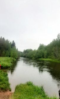 Трекинг по Оредежским берегам