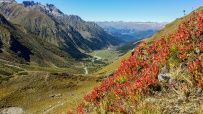 Горный лагерь в Архызе [Кавказ]