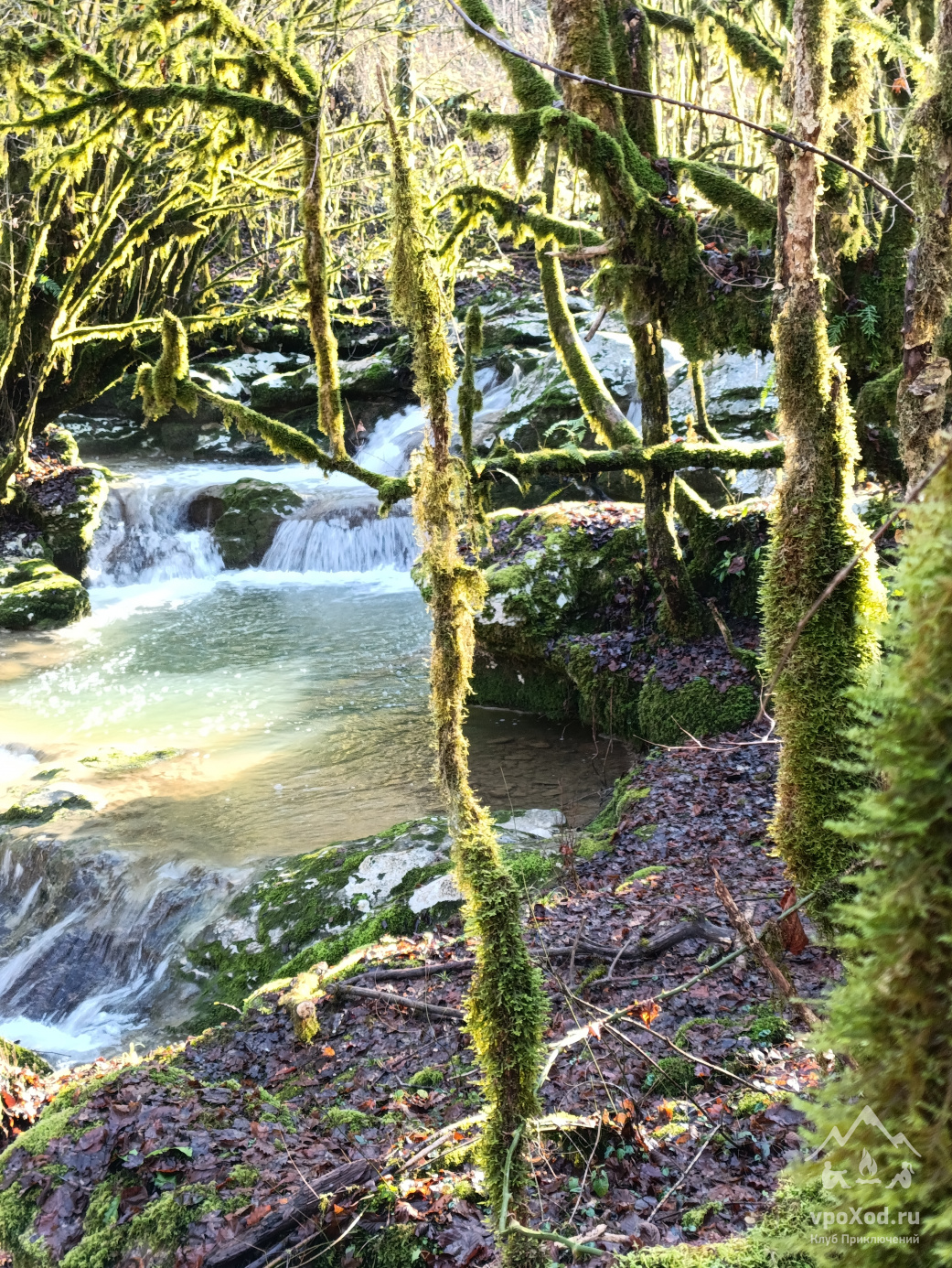 Новогодний мультитур в Абхазии