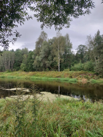 Сплав на байдарках по Москве-реке от Можайска до Рузы (с баней на берегу)