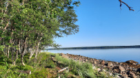 Сплав по реке Кереть и Белое море