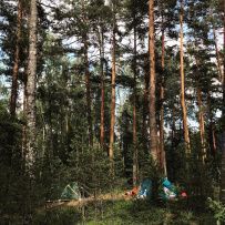 Водное ассорти с детьми: на лодках, байдарках, сапах
