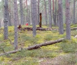 Великолепный Селигер (семейный водный поход)