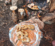 Сплав по реке Поньгома