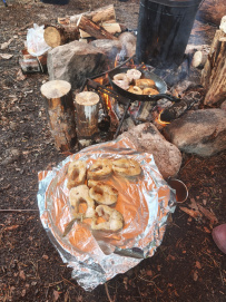Сплав по реке Поньгома