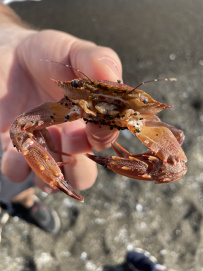В Сердце Ликийской тропы (Поход вдоль моря, без рюкзаков)