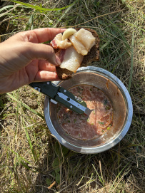 Пеший поход «Боровские края и церковь в Высоком»