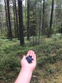 Пеший поход к сердцу Селигера