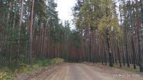 Велопоход из Конаково в Тверь (Тверская область)