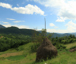 Великий горный край: природа западной Сербии (комфорт-тур в национальный парк Тара)