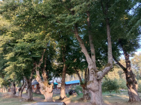 Прогулка вокруг парка Монрепо на каяках (байдарках)