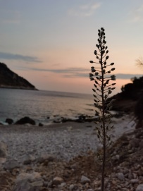 Турция на байдарках. По морю вдоль Ликийской тропы. Запад