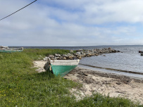 Соловецкие Острова в Белом Море (экскурсии + поход)