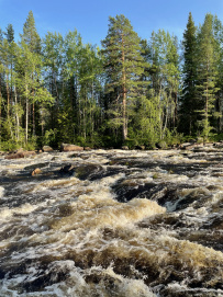 Сплав по реке Воньга и Белое Море на байдарках