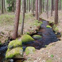 Пеший поход к Зеленодольским озерам