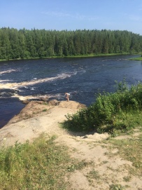 Сплав по реке Шуя