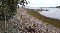 Сплав по реке Воньга и Белое Море на байдарках