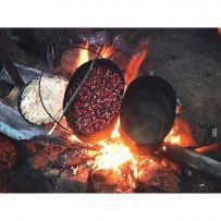 Сплав по реке Умба на байдарках