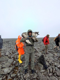 В сердце Кольских гор на морских каяках: Умбозеро, Хибины и Ловозерье
